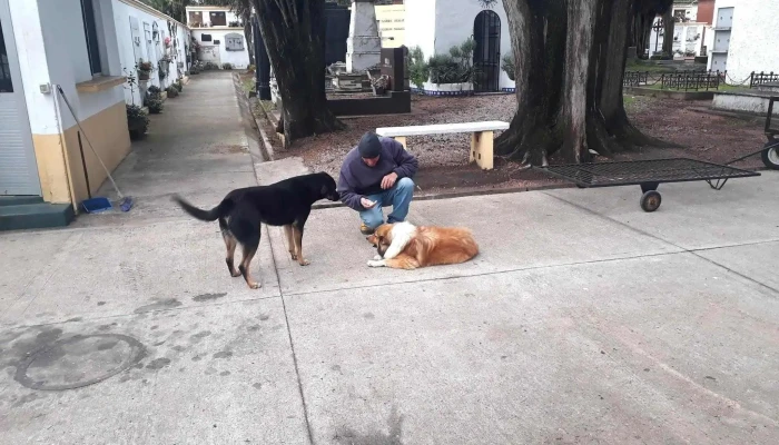 Veterinaria Lazo - 20000 Maldonado