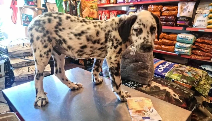 Veterinaria Los Arrayanes - 12200 Montevideo