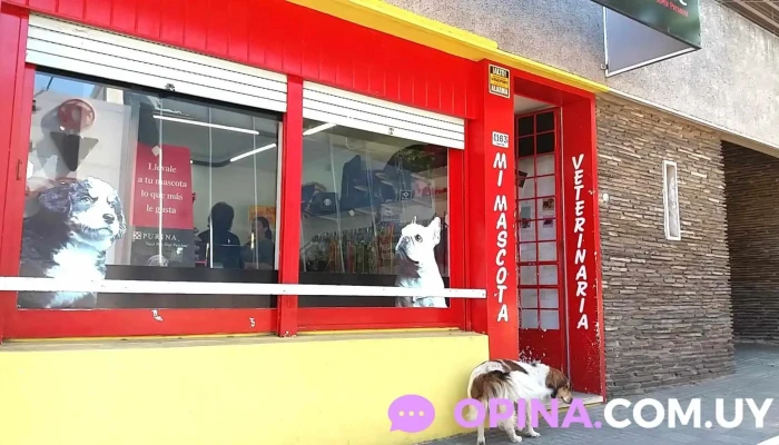 Veterinaria Mi Mascota - 60000 Paysandú