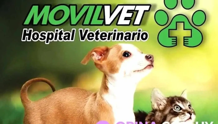 Veterinaria Movilvet - 11600 Montevideo