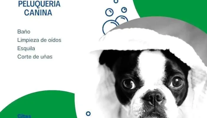 Veterinaria Nueva Italia - 11400 Montevideo