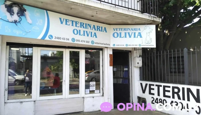 Veterinaria Olivia - 11600 Montevideo