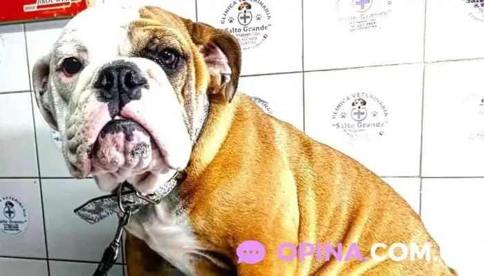 Veterinaria Salto Grande - Concordia