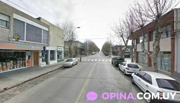 Veterinaria Salud Animal - 70000 Col. Del Sacramento