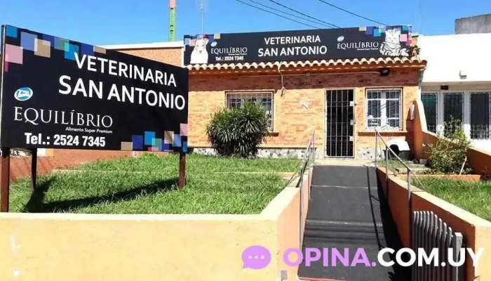 Veterinaria San Antonio - Departamento De Montevideo