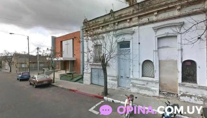 Veterinaria Silvia Lust - 60000 Paysandú