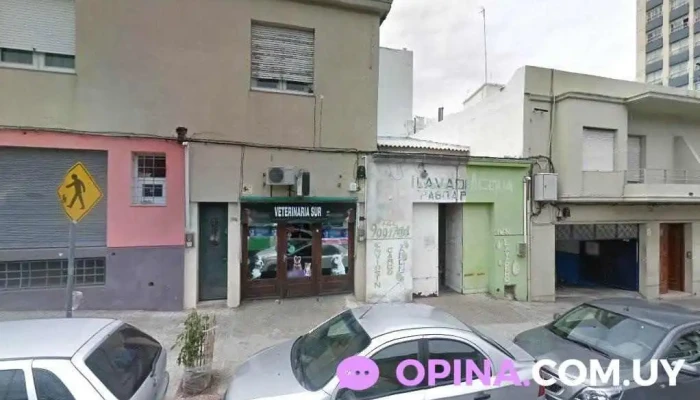 Veterinaria Sur - 11100 Montevideo