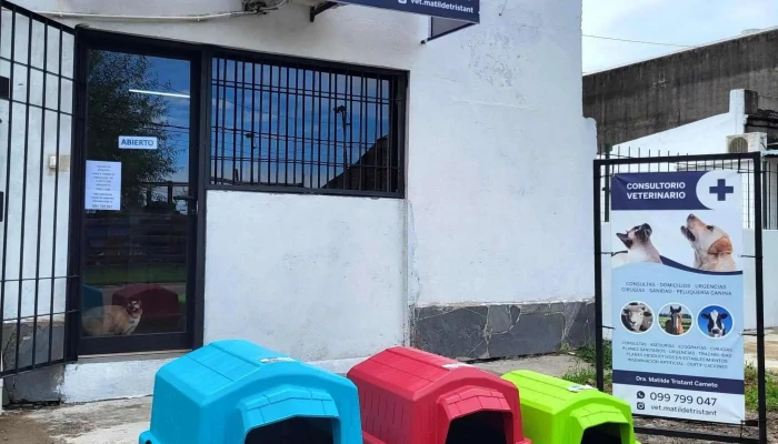 Veterinaria Tristant - 97000 Durazno