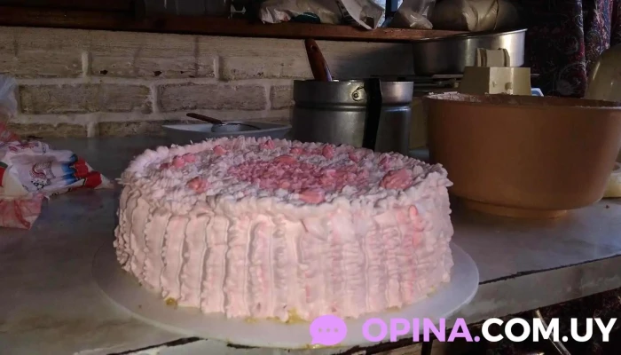 Veterinaria Tu Can - 50000 Salto