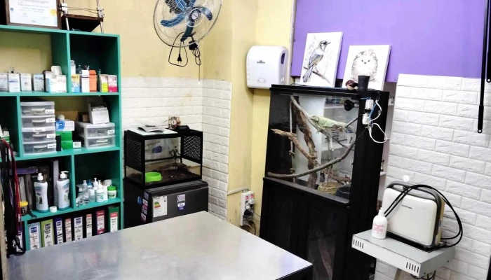 Veterinaria Valkiria - 12300 Montevideo