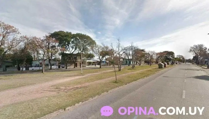 Veterinaria Victoria - 11900 Montevideo