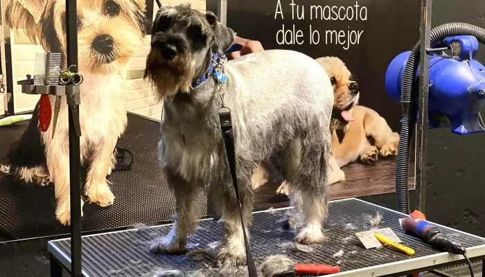 Veterinaria y Tienda D+cotas Ciudad vieja - 11000 Montevideo