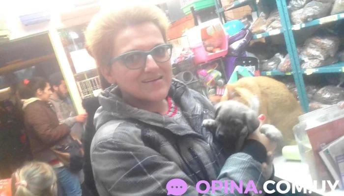 Veterinaria Zum - 11400 Montevideo