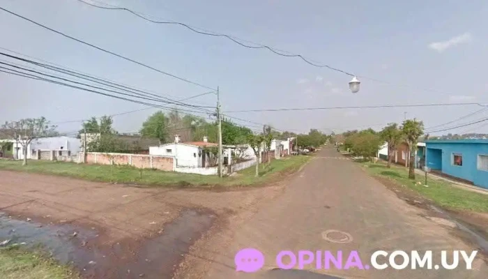 Veterinario Móvil - 55000 Artigas