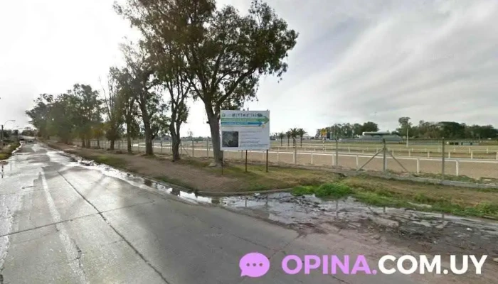 Vetlab - Departamento De Canelones