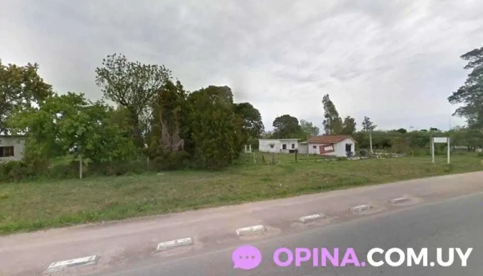 Vibras bazar , regalos , juguetes , hogar - 80500 Ciudad Del Plata