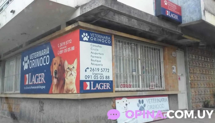 Vida Veterinaria - 11200 Montevideo