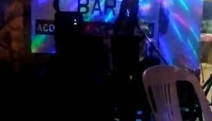 Viejo Bar:  Videos