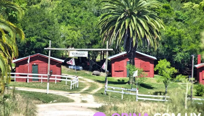 Vigilancia de los Indios - Minuano