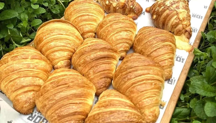 Vigor Boulangerie:  Todo - Panadería