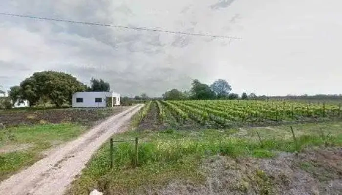 Vino Unico El Placer En Tu Mesa Cerca De Mi - Aguas Corrientes