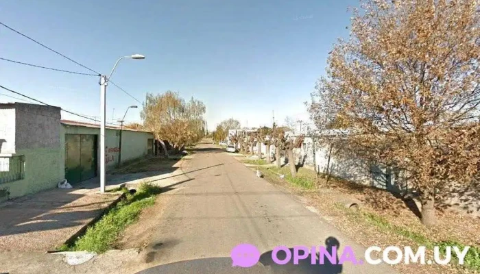 Visca Benvenuto - Las Piedras