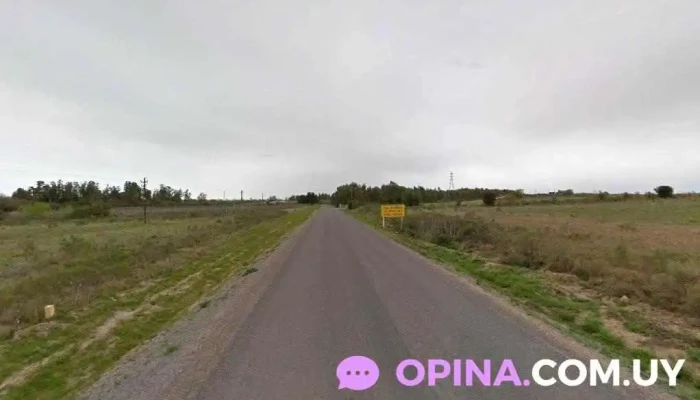 Vivero Aguas Corrientes - Los Cerrillos