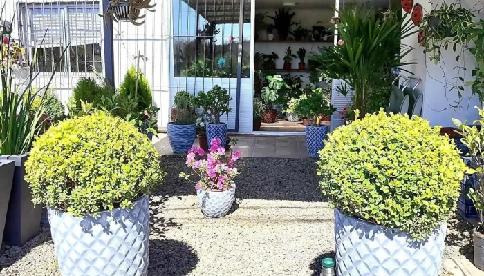 Vivero Blancaluz y consultorio terapéutico - 80000 San José De Mayo