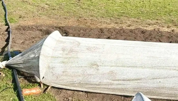 Vivero Del Angel Videos - Guichón