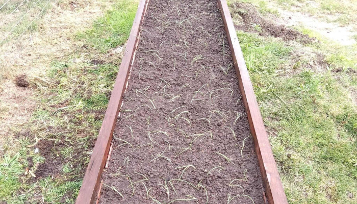 Vivero Ecoflora Las Toscas - Las Toscas