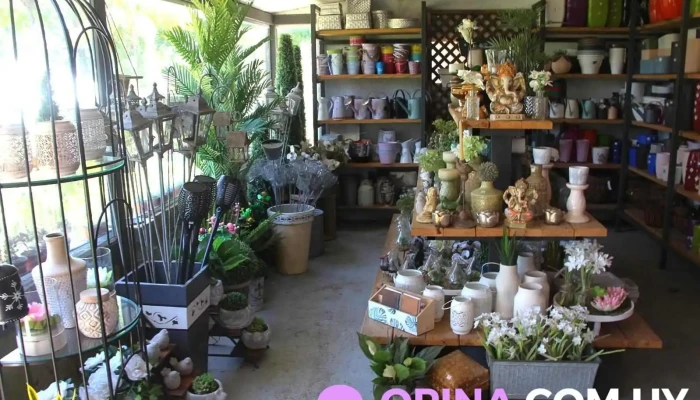 Vivero El Ceibo - 11500 Montevideo