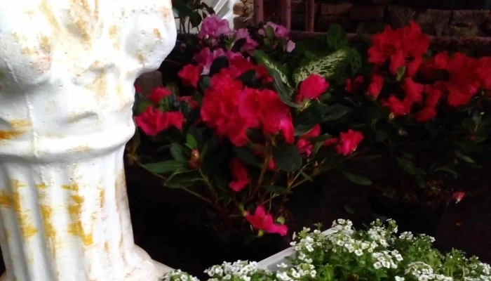 Vivero El Rancho - Quebracho