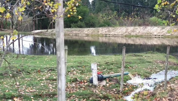 Vivero Forestal Altos del Yi - Santa Bernardina