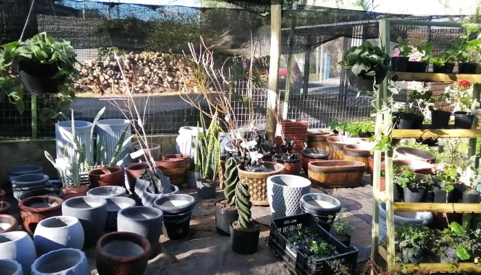 Vivero Jardines Del Sacramento -  Catalogo - Col. del Sacramento