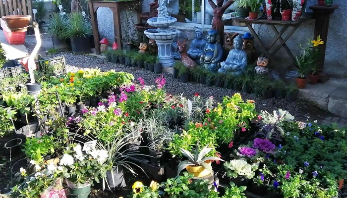 Vivero Jardines del Sacramento - Col. Del Sacramento