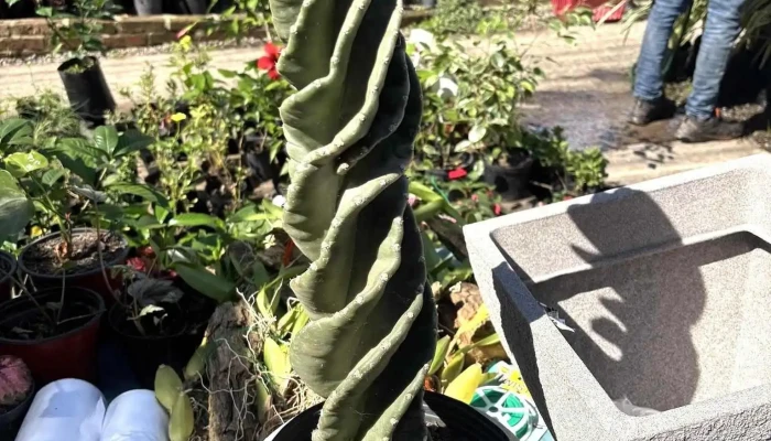 Vivero Jardines Del Sacramento -  Del Propietario - Col. del Sacramento