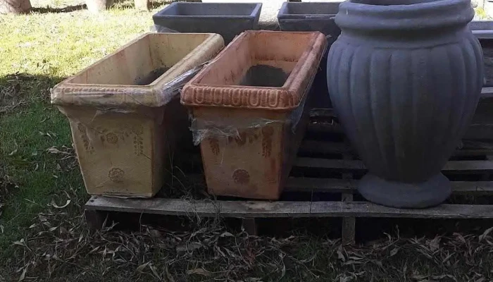 Vivero km47 - Departamento De San José