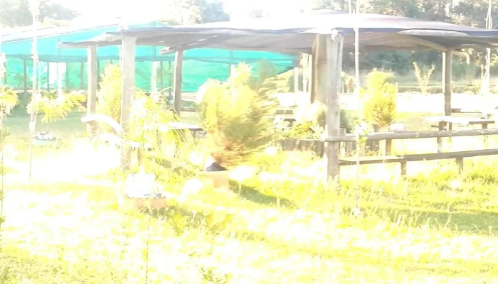 Vivero Koln -  Cerca De Mi - Estaci&oacute;n Atl&aacute;ntida