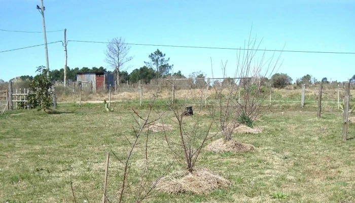Vivero Koln -  Instagram - Estaci&oacute;n Atl&aacute;ntida