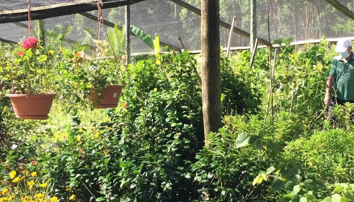 Vivero Los Arrayanes -  Cerca De Mi - Piriápolis