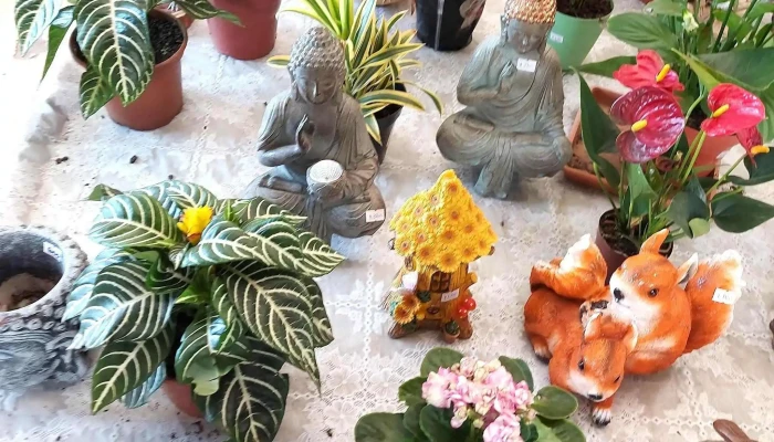 Vivero Monte Color -  Instagram - Atlántida