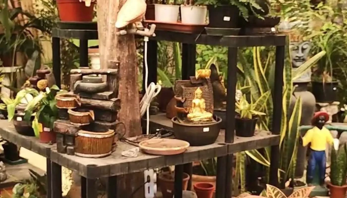 Vivero Monte Color -  Interior - Atlántida