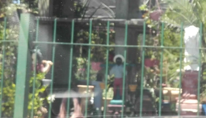 Vivero Monte Color -  Numero - Atlántida