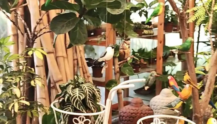 Vivero Monte Color -  Videos - Atlántida