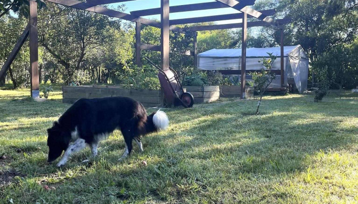 Vivero Rincon de Toledo - Departamento De Canelones