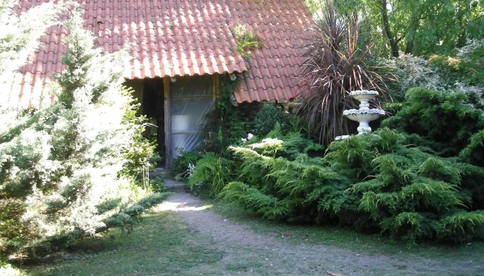 Vivero Russi - Km 29