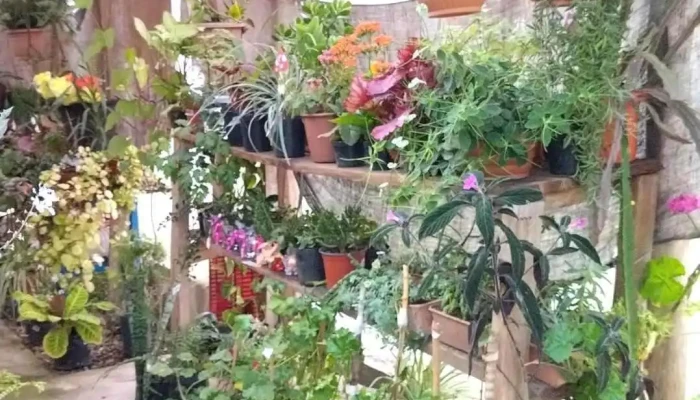 Vivero -  Ubicacion - Tupambaé