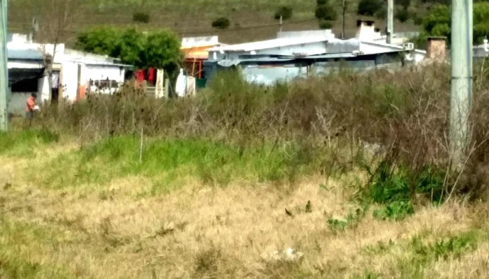 Viviendas Covilava -  Cerca De Mi - Minas