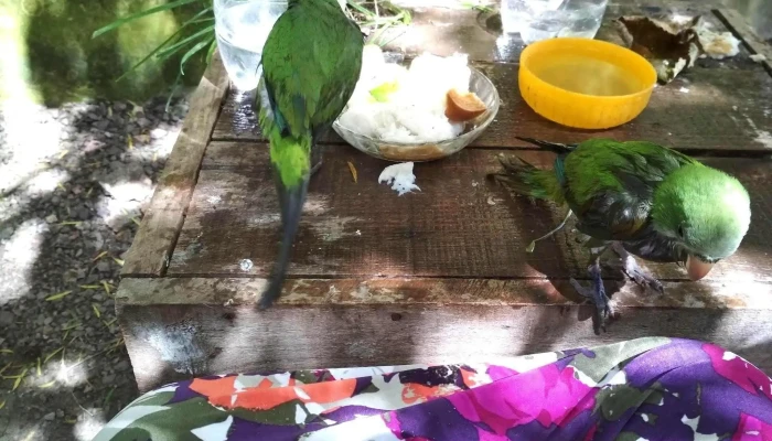 Viviendas Covilava -  Comida Y Bebida - Minas