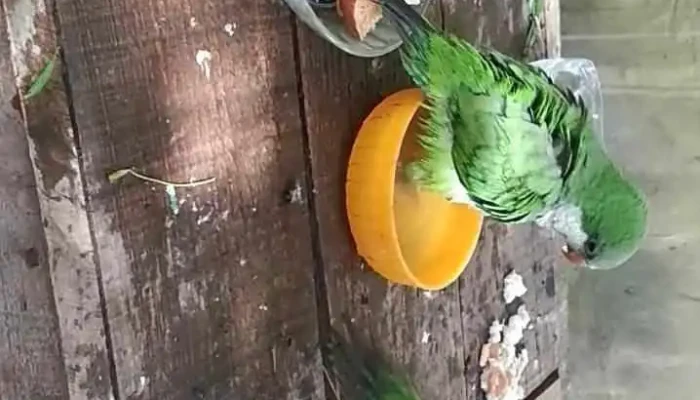 Viviendas Covilava -  Videos - Minas